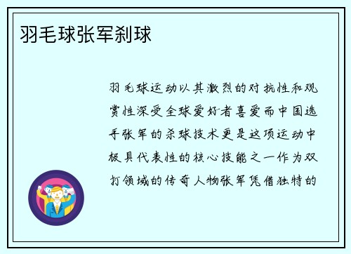 羽毛球张军刹球