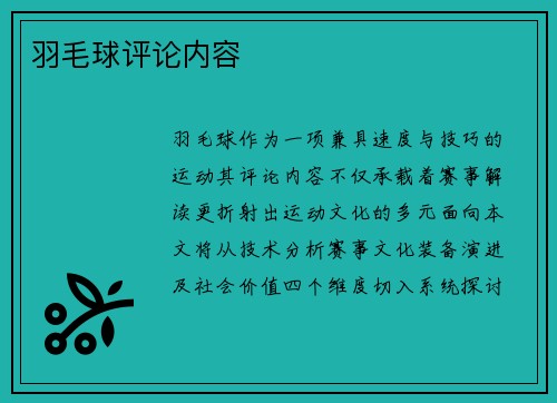 羽毛球评论内容
